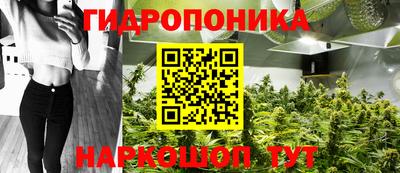 марки lsd Гусиноозёрск