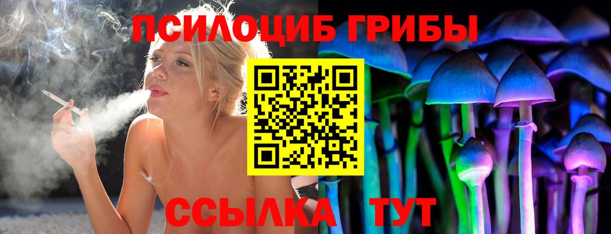 Псилоцибиновые грибы прущие грибы Егорьевск